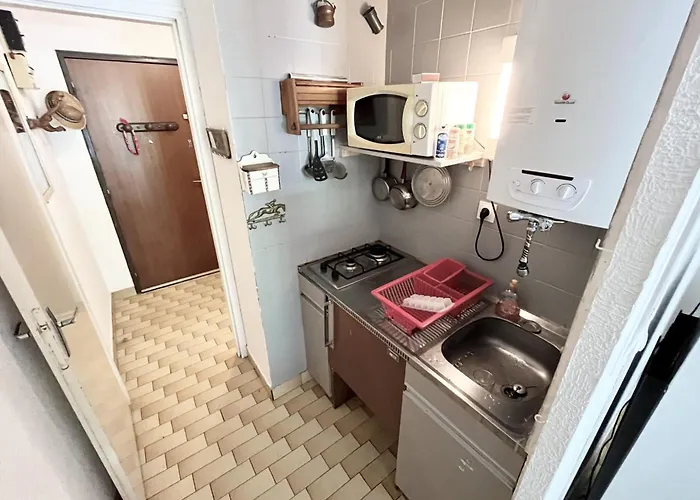 For 4 At 400 M From The Apartment La Grande-Motte